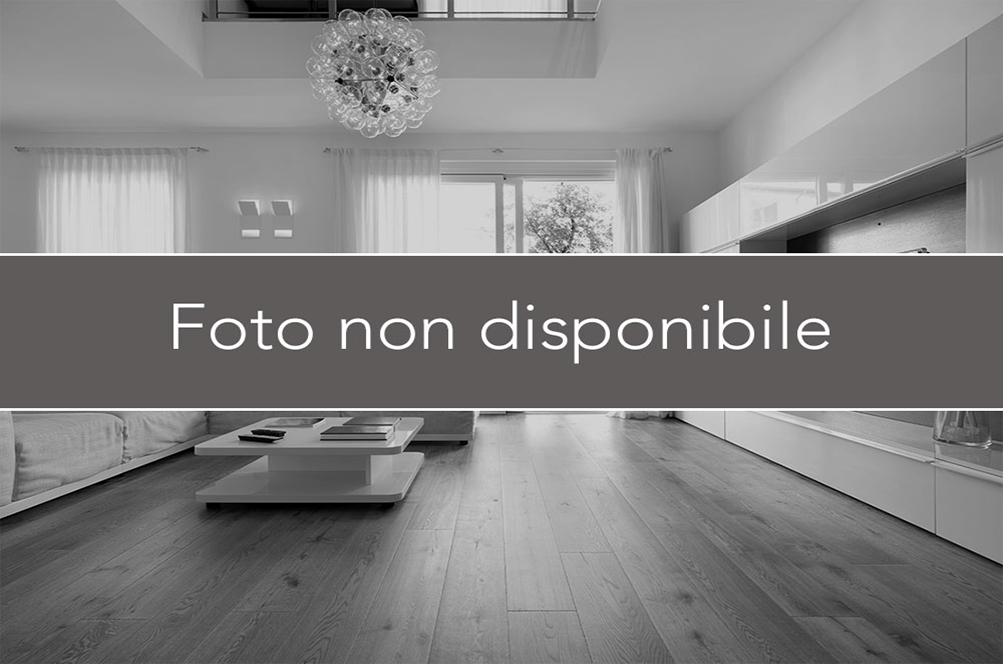 PIANIGA Capannone singolo di 10.500mq con scoperto privato